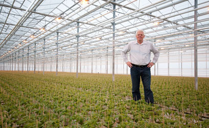 man in greenhouse